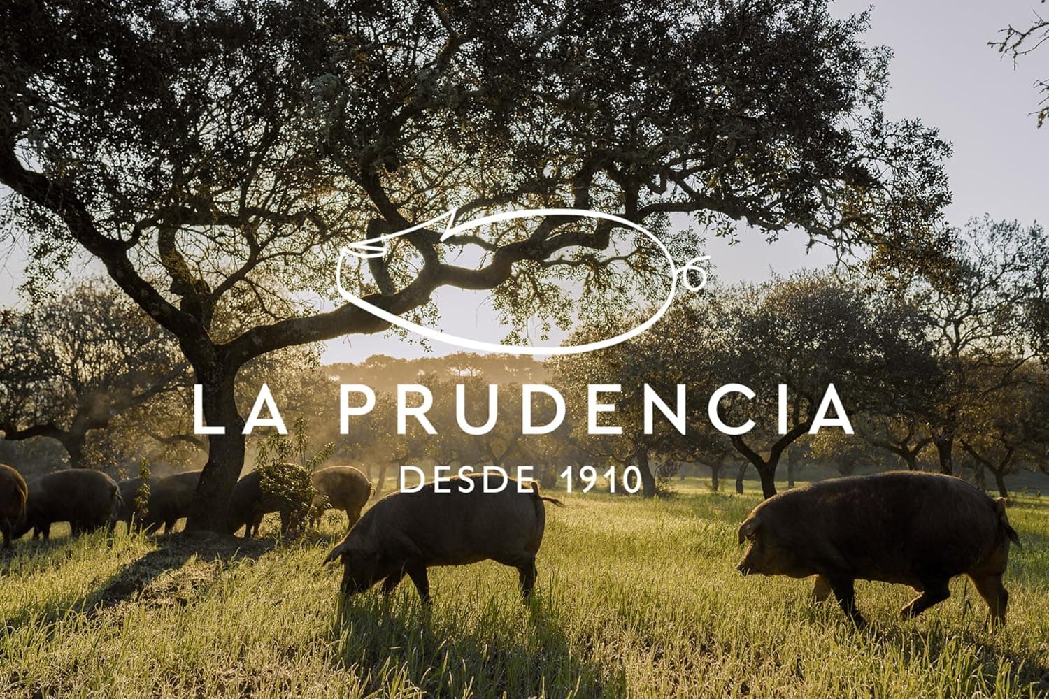 Paleta 50% Iberica di Bellota Disossata La Prudencia
