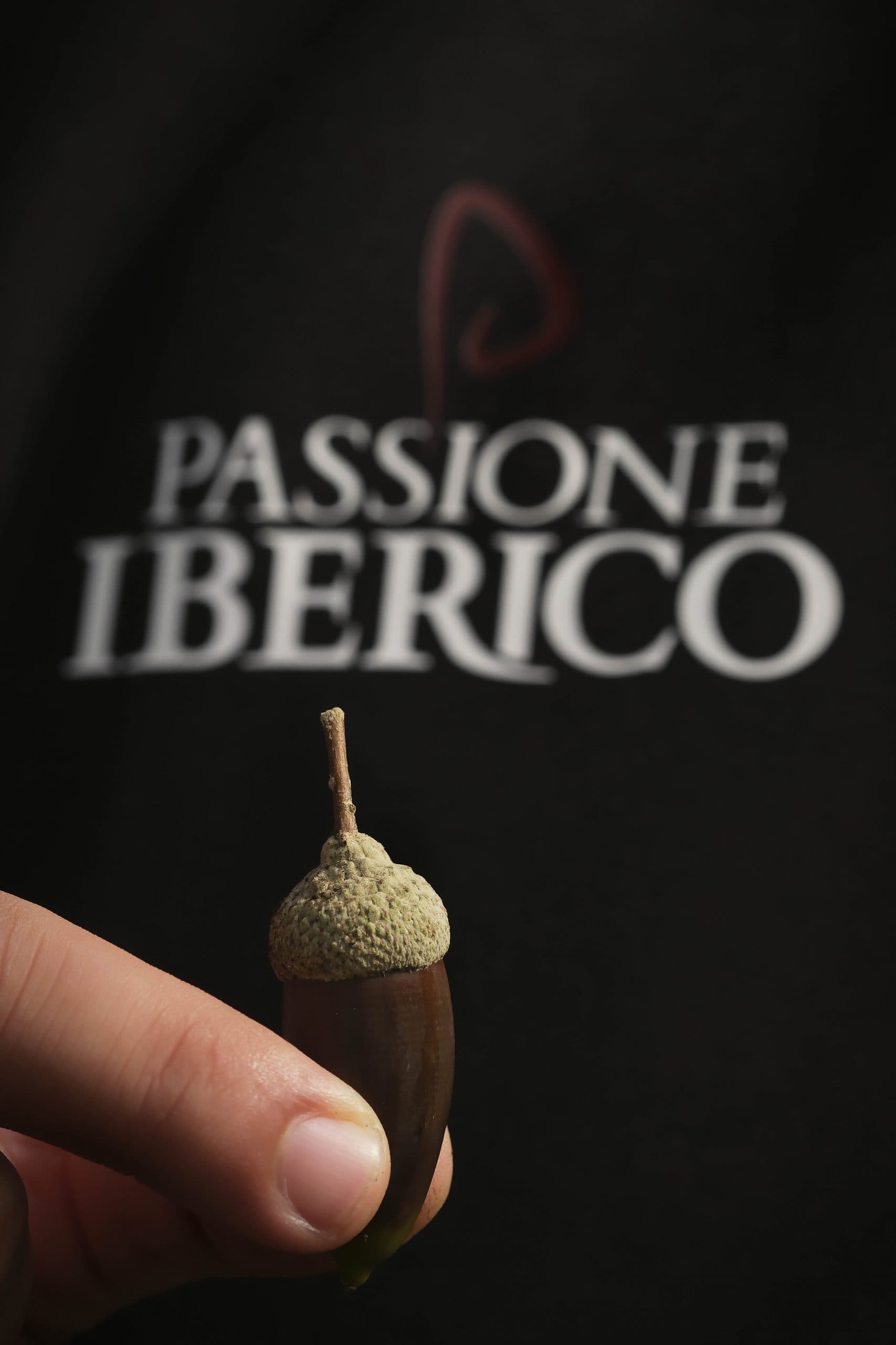 Guida al Primo Acquisto Iberico: Cosa provare per iniziare